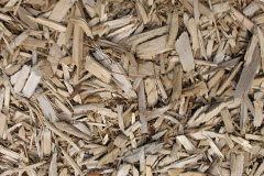 biomass boilers Waverbridge